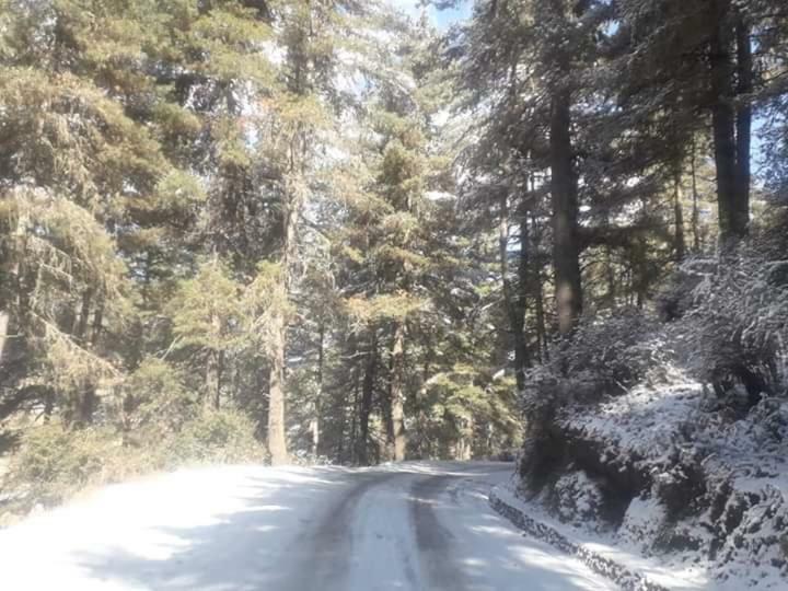 Odiyana Hotel Gangtey Gonpa Bagian luar foto